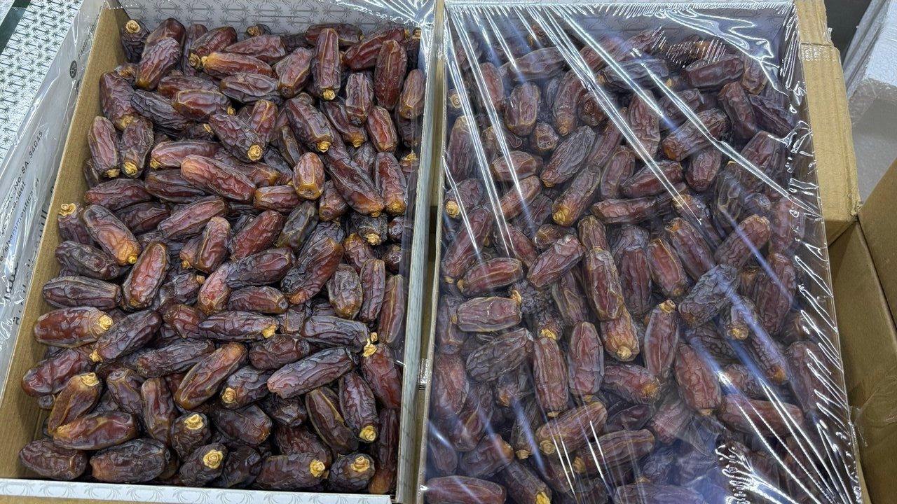 SHAMMOU Mebrum Al-Madina Hurması | Mabroom
